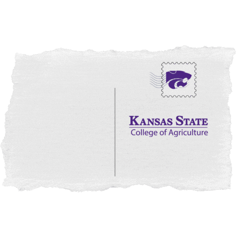 ksuAg giphyupload agriculture k-state kansas state university Sticker