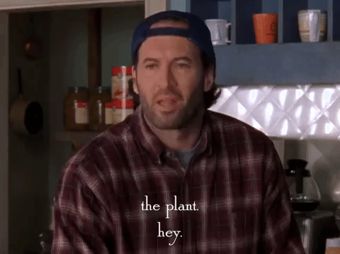 season 4 netflix GIF by Gilmore Girls 