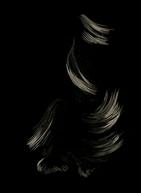 misharewithu  GIF