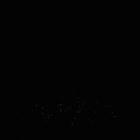 White Owl Digital Agency GIF by The Wise Owl