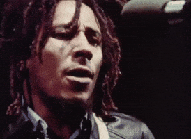 Bob Marley And The Wailers Reggae GIF by Bob Marley