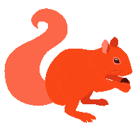 Orange Cutie Sticker by University of Florida