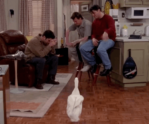 Season 4 Duck GIF by Friends