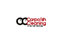 carpolishch carpolish carpolishcleaning Sticker
