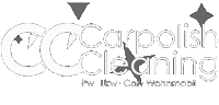 Carpolishcleaning Sticker by carpolish