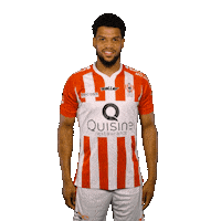 Van Love Sticker by TOP Oss