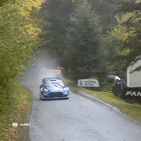 Ford Speed GIF by FIA World Rally Championship