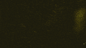 festival confetti GIF by Pukkelpop