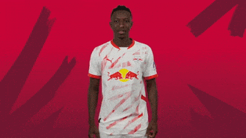 Sport Celebration GIF by RB Leipzig
