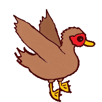 Duck Waterfowl Sticker