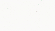 Country Music Lyrics GIF by Adam Doleac