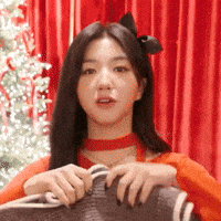 K Pop Christmas GIF
