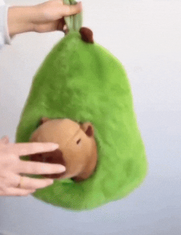 capybara-peluche-avocat