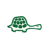 greeneturtle nom digital the greene turtle greene turtle Sticker