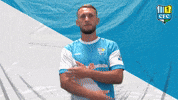 Tor Cfc GIF by ChemnitzerFC