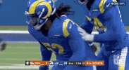 Los Angeles Rams Football GIF by NFL