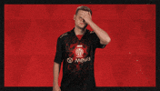 Mainz 05 Football GIF by Bundesliga