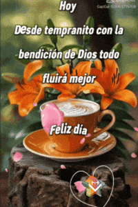 Amigos Flores GIF by Murcianys LLC