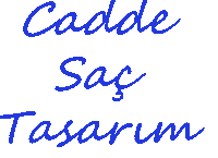 Hair Sac Sticker by caddesactasarim