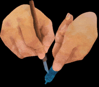 Korea Type GIF by vank