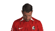 Look Up Sc Freiburg Sticker by Bundesliga