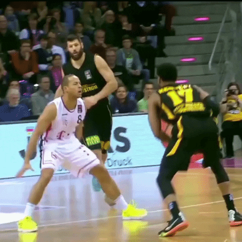 telekom baskets bonn bachelor GIF by easyCredit Basketball Bundesliga