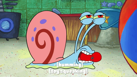 season 9 gary's new toy GIF by SpongeBob SquarePants