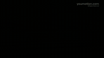 Abstract Colorful Seamless Transitions Collection