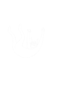 Star Falling Sticker