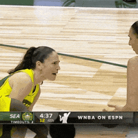 Womens Basketball No GIF by Basketfem
