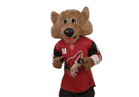 Howling Ice Hockey Sticker by NHL