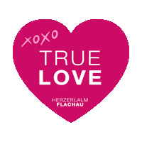 Flachau Sticker by Herzerlalm