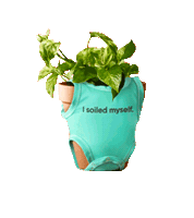 Plant Keepgrowing Sticker by MiracleGroCanada