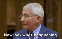 Fauci GIF by GIPHY News