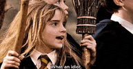 Harry Potter Idiot GIF