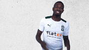 Bundesliga Bmg GIF by Borussia Mönchengladbach