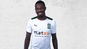 Bundesliga Bmg GIF by Borussia Mönchengladbach