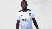 Bundesliga Bmg GIF by Borussia Mönchengladbach