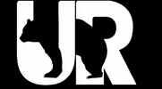 ursusadventures ursus followtheursus ursusadventures GIF