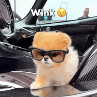 Wink Flirt GIF