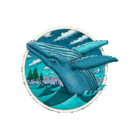 College Ocean Sticker by University of Alaska Southeast