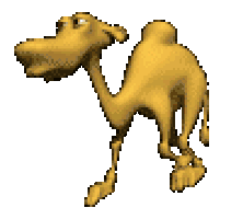 camel STICKER
