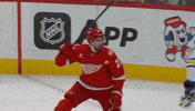 Happy National Hockey League GIF by NHL