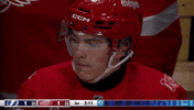 National Hockey League No GIF by NHL