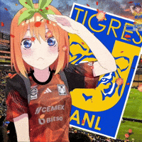 Tigres Uanl Girl GIF