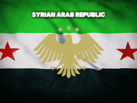 Syrian Arab Republic Syria GIF