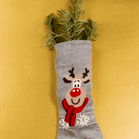 sok cadeautje GIF by Lidl Nederland