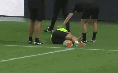 highansol93 giphyupload GIF