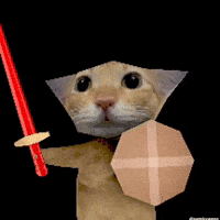 Cat Kitty GIF