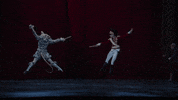 Nutcracker GIF by English National Ballet